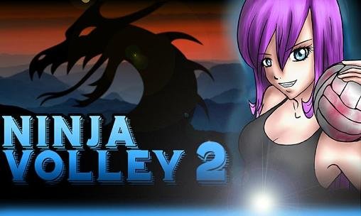 game pic for Ninja volley 2